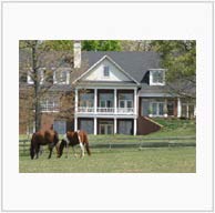 Barking Fox Farm