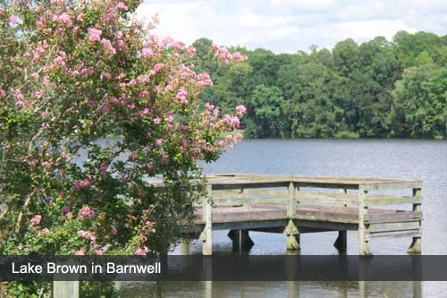 Barnwell