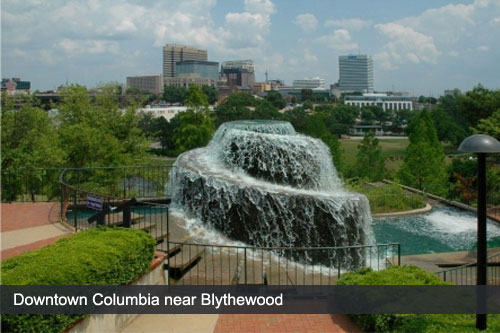Pet Friendly Hotels Blythewood Sc Pet Friendly Hotels Blythewood Sc