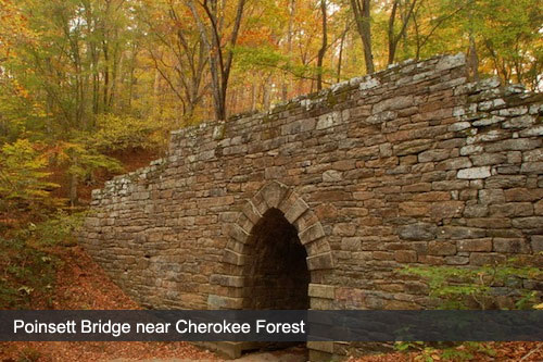 Cherokee Forest