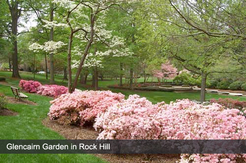 Hotels In Rock Hill Sc That Allow Pets