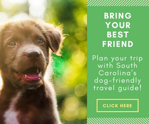 SC Dog Friendly Travel Guide