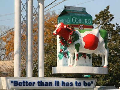 The Coburg Cow, Charleston