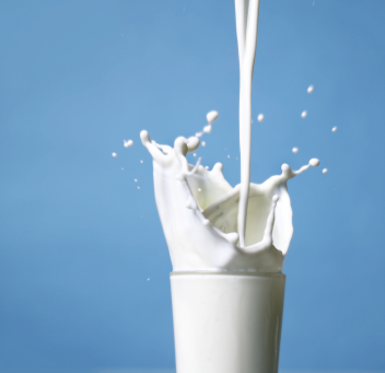 Milk Business