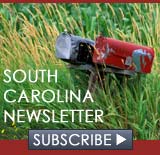 Click here to subscribe to SCIway News, our free monthly newsletter about South Carolina.
