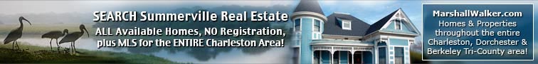 Summerville Property Search