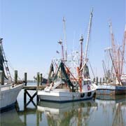 Shrimp Trawlers