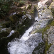 Eastatoe Creek