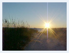 Charleston Beach Vacations