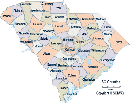 South Carolina County Maps