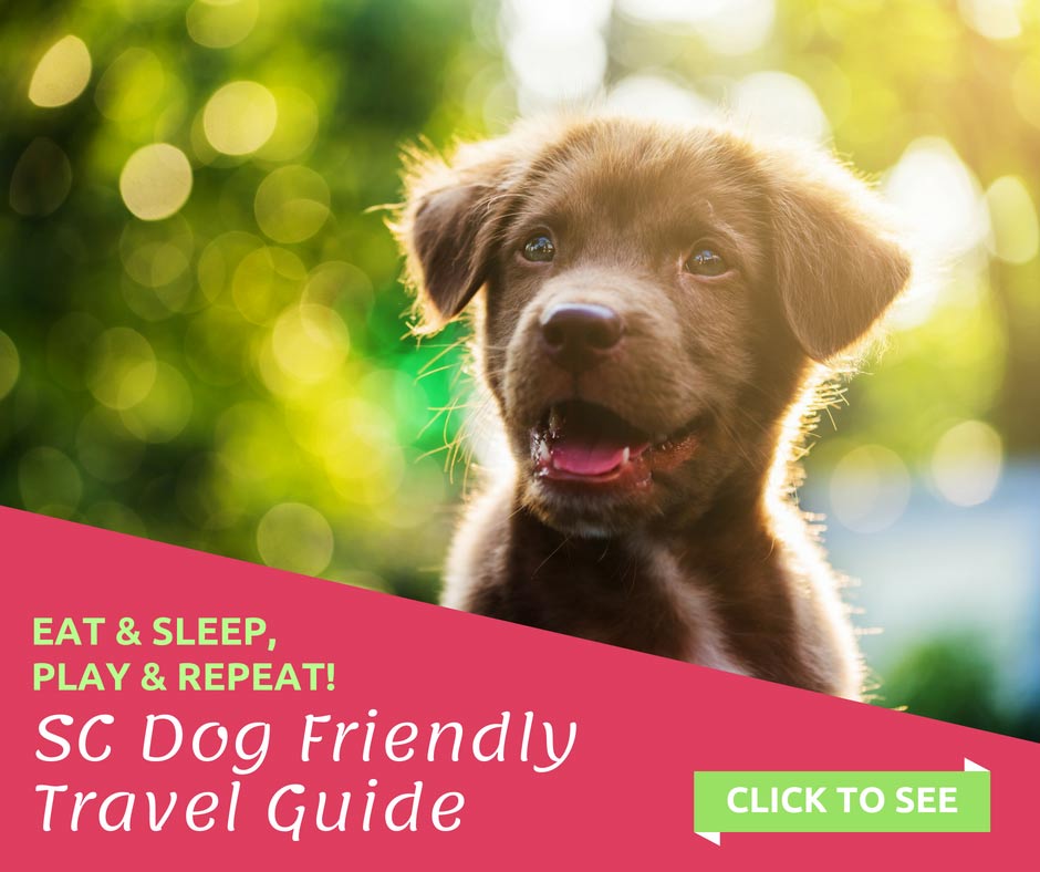 Dog-friendly Travel in South Carolina