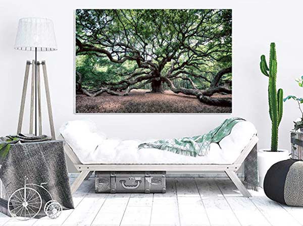 Angel Oak Print