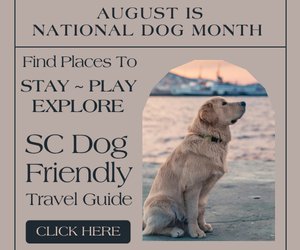 SC Dog Friendly Travel Guide