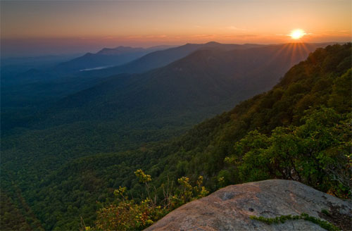 CAESARS HEAD