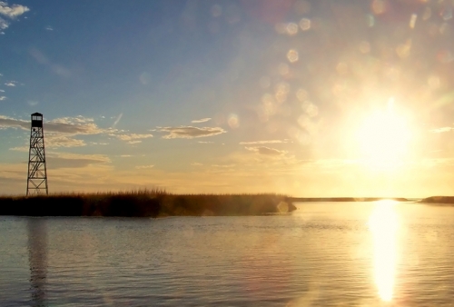 Cape Romain National Wildlife Refuge