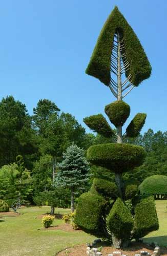 Fryar's Fishbone Topiary