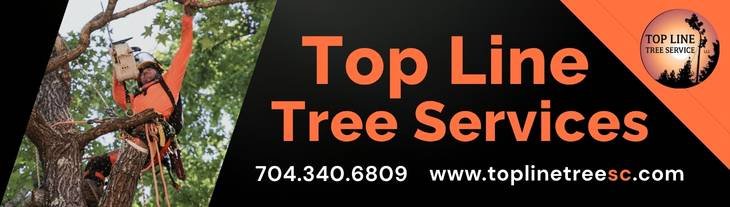 Top Line Tree Service