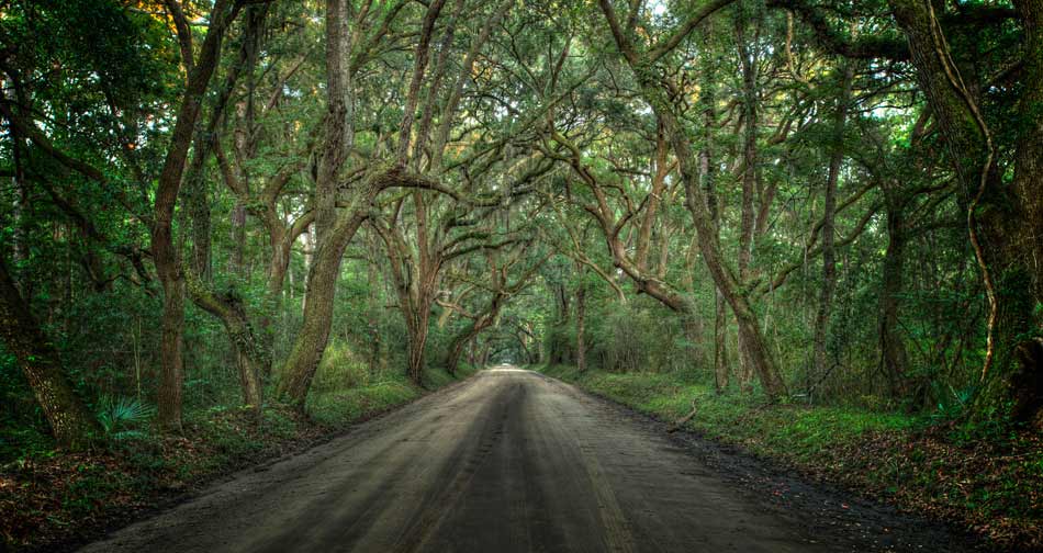 >Botany Bay SC