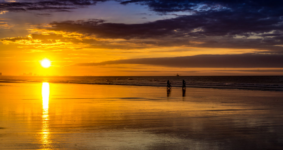>Cherry Grove SC