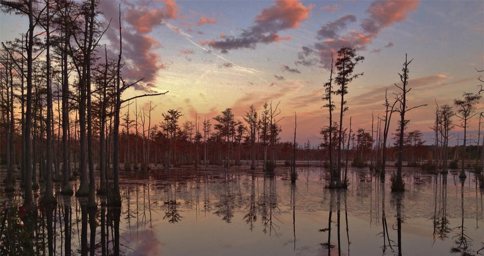 Goodale State Park SC