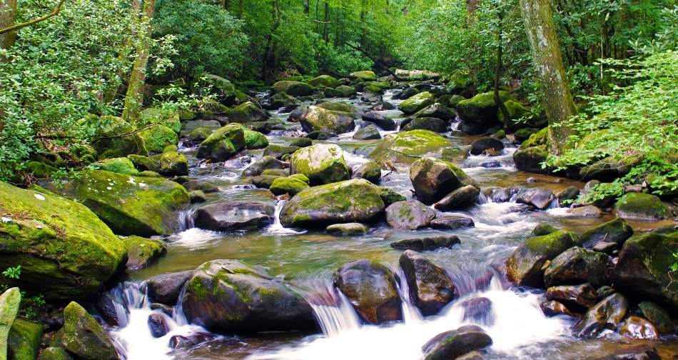 >Jones Gap State Park SC