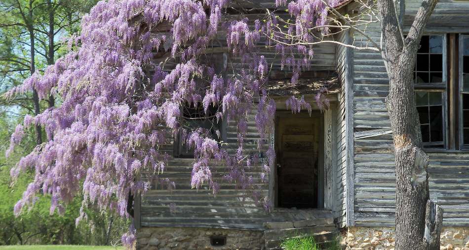 Mount Joshua Rosenwald School SC