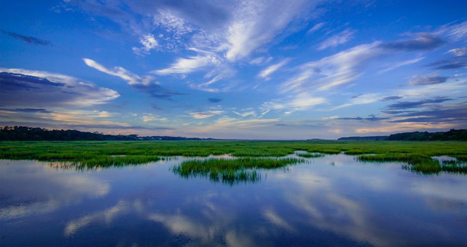 >Murrells Inlet SC