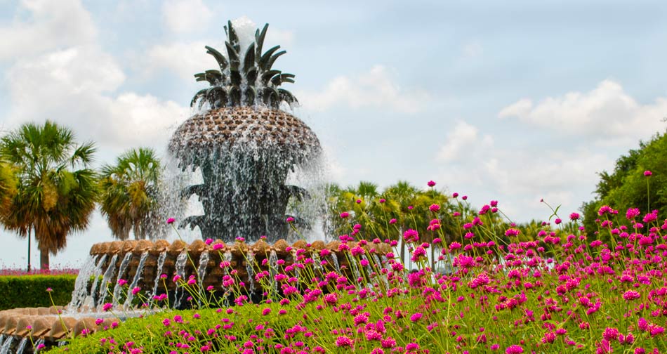 >Charleston Pineapple Fountain SC