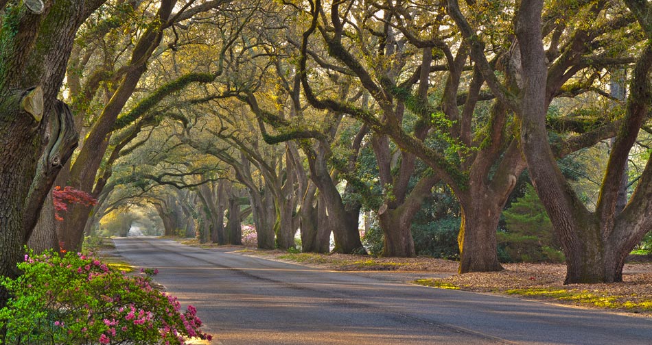 >South Boundary in Aiken SC