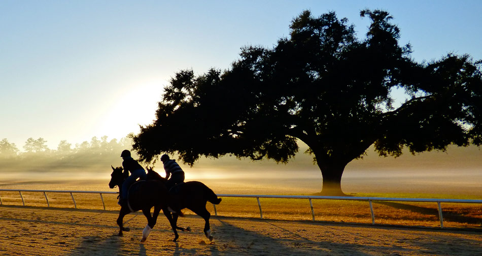 Aiken Training Track SC