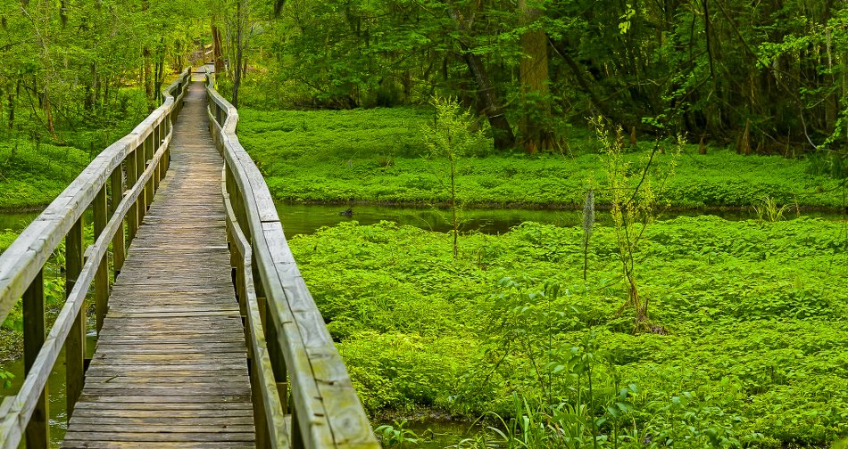 >Williamson Park in Darlington SC