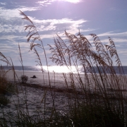 Folly Field Beach in Hilton Head