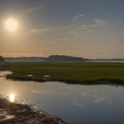 Pinckney Island Wildlife Refuge