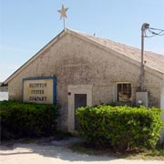 Bluffton Oysters