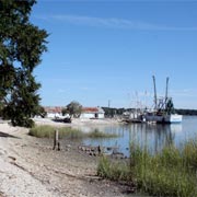 Oysters on the Shore