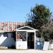 Oyster Company Store