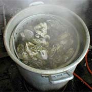 Oyster Roast