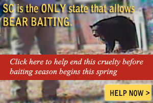 Stop SC Bear Baiting