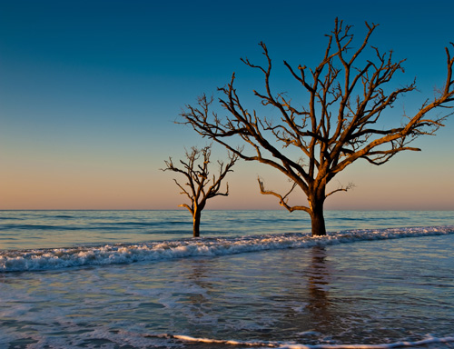 Botany Bay Plantation