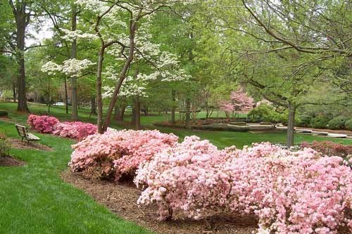 Glencairn Garden in Rock Hill