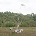 Edisto Mystery Tree