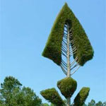 Pearl Fryar Topiary Garden