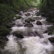 Jones Gap State Park