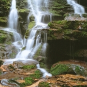 Yellow Branch Falls