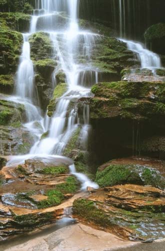 Yellow Branch Falls