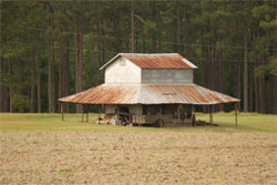 Brasstown Veil