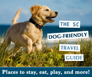 SC Dog Friendly Travel Guide