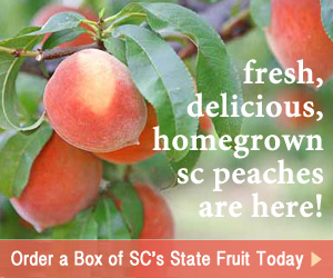 South Carolina Peaches
