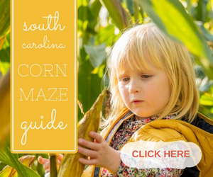Corn Mazes in South Carolina
