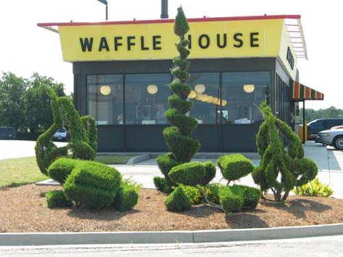 Bishopville's Waffle House